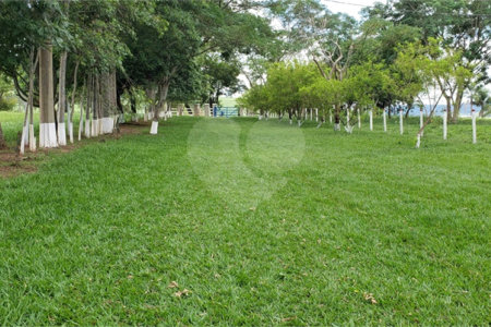 Sitio para venda.