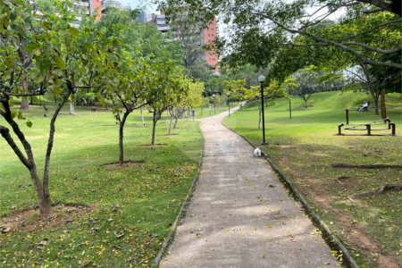 Cobertura à venda com 3 suítes em Jardim Vitória Régia, São Paulo, SP