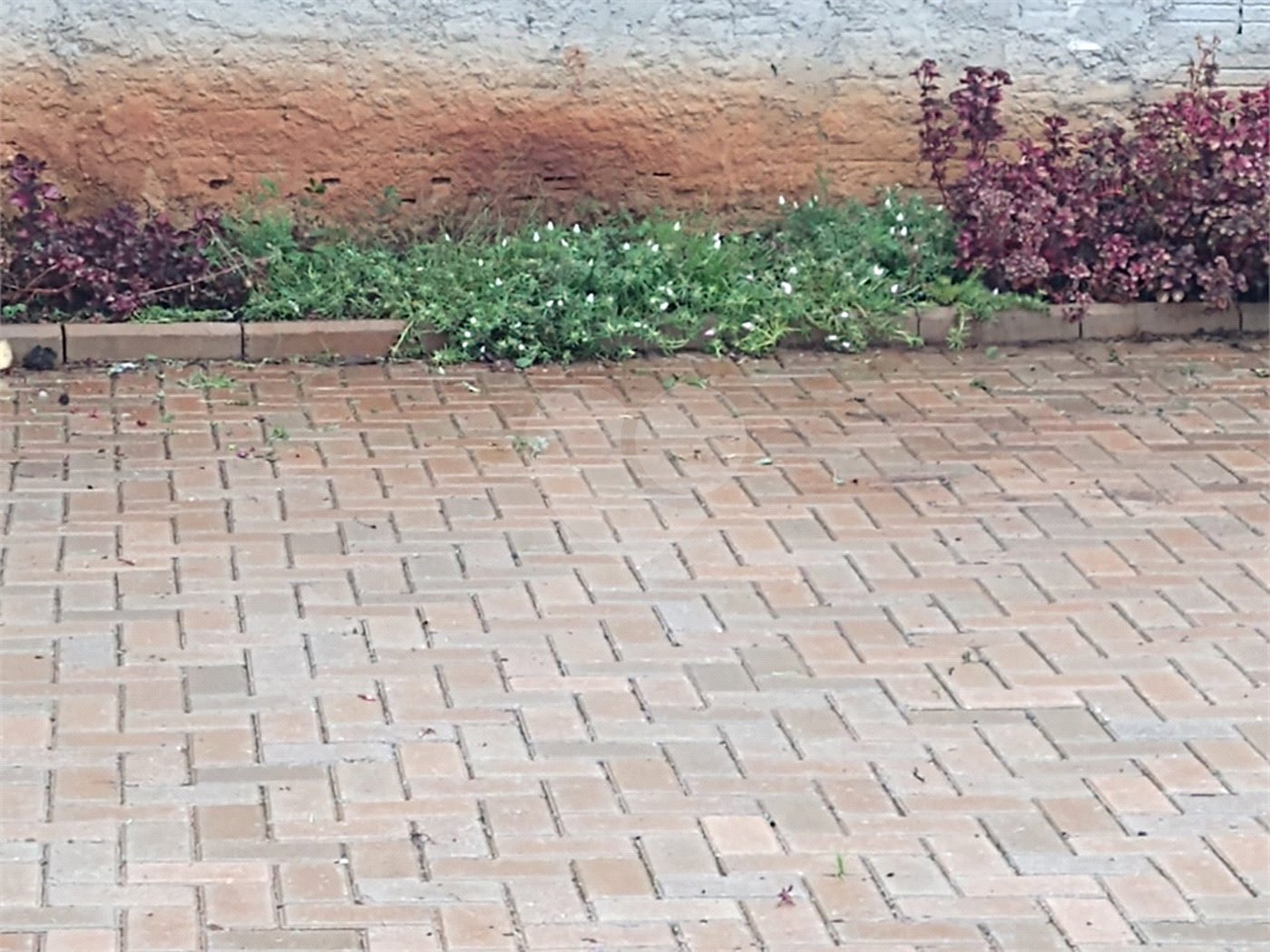 Chácara à venda com 4 quartos, sendo 3 suítes, em Jundiaquara, Araçoiaba da Serra, SP