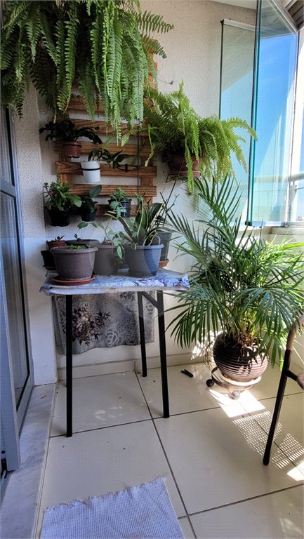 Apartamento à venda com 3 quartos, sendo 1 suíte, em Jaçanã, São Paulo, SP