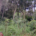 Terreno à venda em Terra Preta (terra Preta), Mairiporã, SP