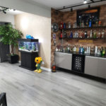 Apartamento à venda com 3 quartos, sendo 1 suíte, em Cambuci, São Paulo, SP