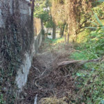 Terreno à venda em Vila Tramontano, São Paulo, SP