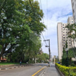 Apartamento à venda com 2 quartos em Parque Mandaqui, São Paulo, SP