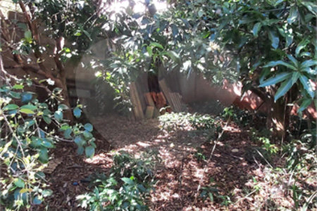 Casa térrea no Centro