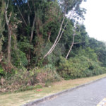 Terreno à venda em Vila Junqueira, Atibaia, SP