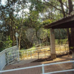 Apartamento à venda com 4 quartos, sendo 2 suítes, em Jardim Adhemar de Barros, São Paulo, SP