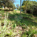 Terreno à venda em Jardim Morumbi, São Paulo, SP