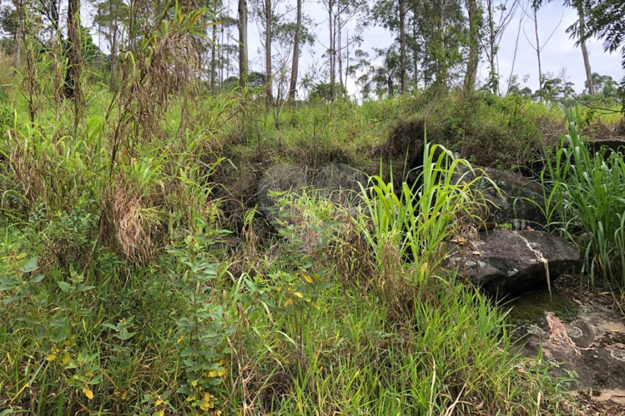 Terreno à venda em Serra da Cantareira, Mairiporã, SP