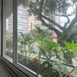 Apartamento à venda com 2 suítes em Vila Madalena, São Paulo, SP