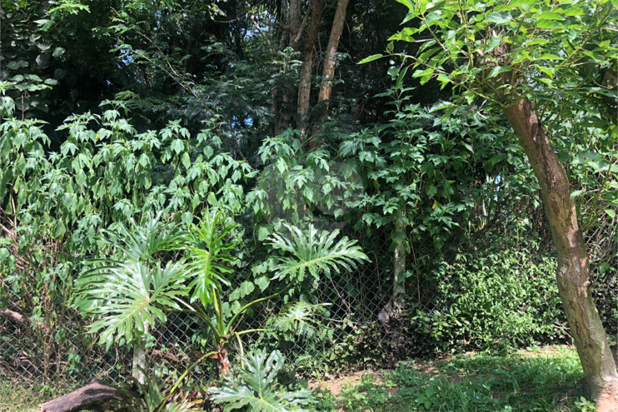 Terreno à venda em Serra da Cantareira, Mairiporã, SP