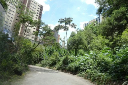 Terreno à venda em Vila Suzana, São Paulo, SP
