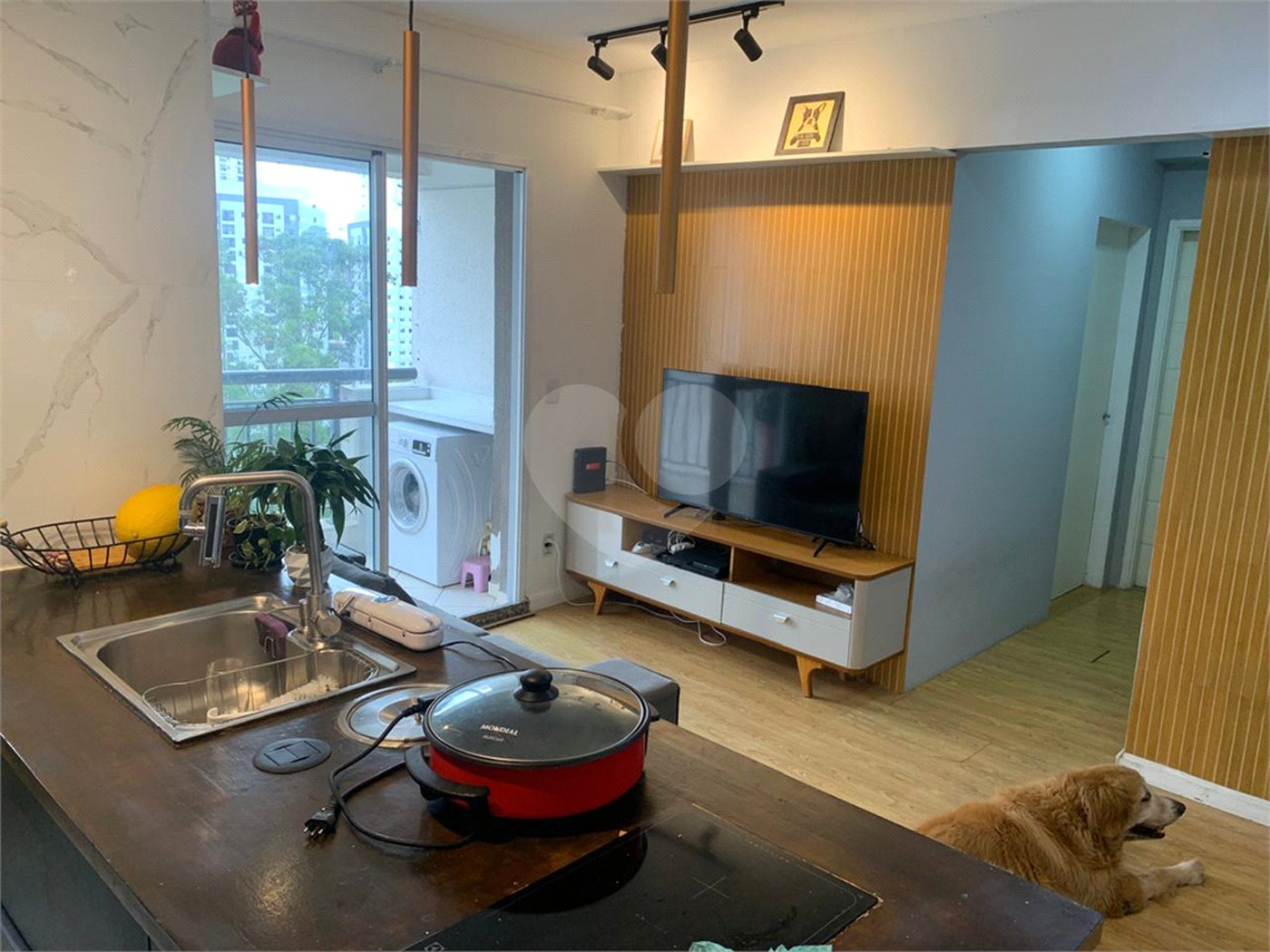Apartamento à venda com 2 quartos em Parque Reboucas, São Paulo, SP