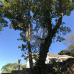 Terreno à venda em Horto, São Paulo, SP