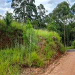 Terreno à venda em Terra Preta (terra Preta), Mairiporã, SP