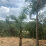 Terreno à venda em Serra da Cantareira, Mairiporã, SP