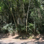 Terreno à venda no condomínio Alpes da Cantareira, Mairiporã - SP