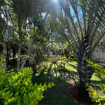 Casa à venda ou para alugar com 2 quartos, sendo 1 suíte,  em Vila Novo Horizonte, Itapetininga, SP