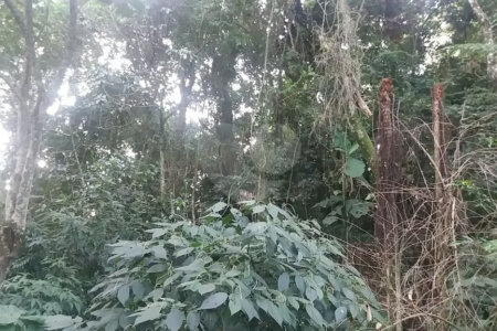Terreno à venda em Tucuruvi, São Paulo, SP