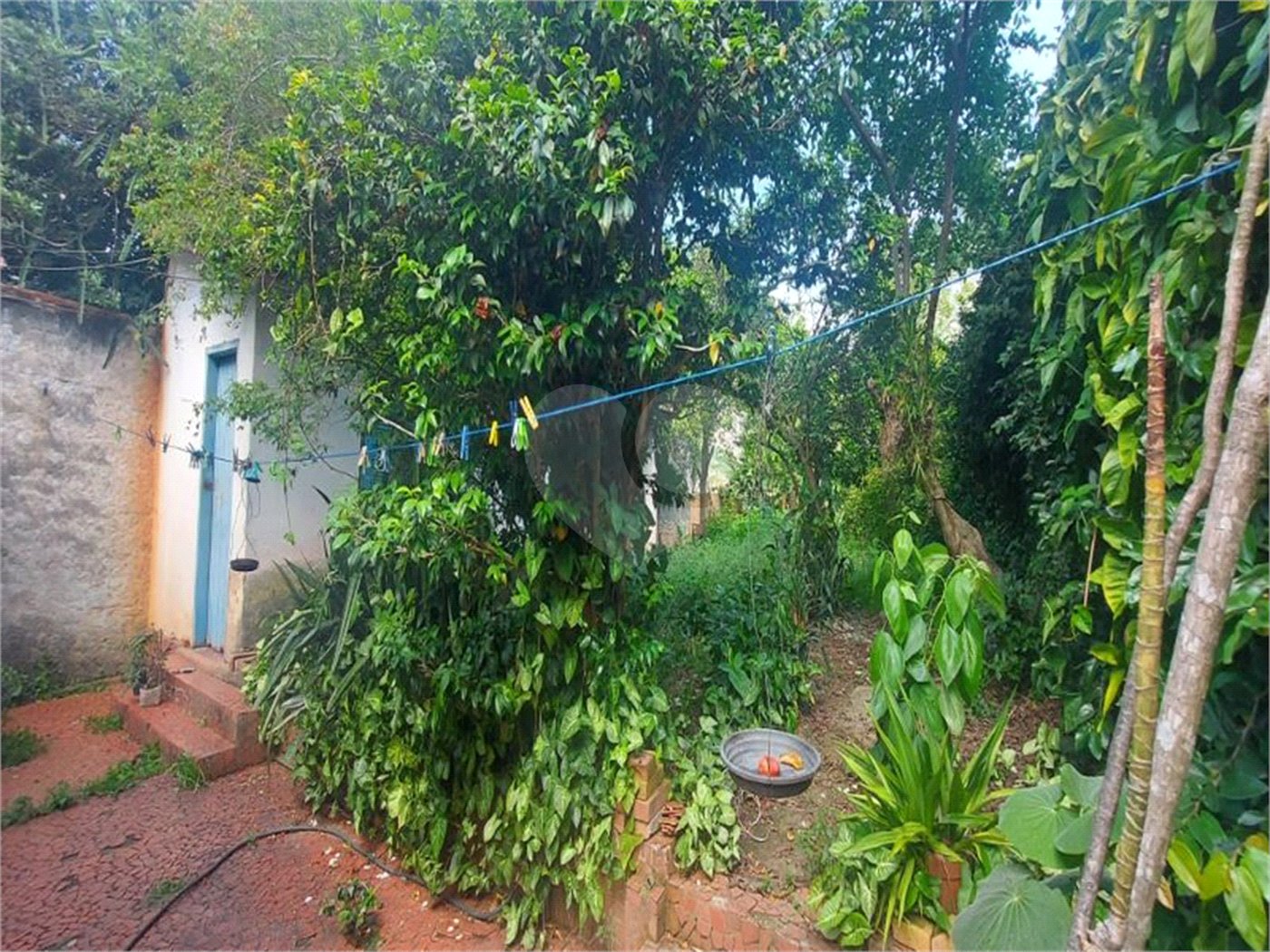 Casa Térrea à venda com 3 quartos, sendo 1 suíte, em Jardim Floresta, São Paulo, SP