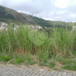 Terreno à venda no condomínio Residencial Mirela - Lotes e Terrenos, Rio de Janeiro - RJ