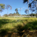 Terreno à venda em Parque Olimpico, Mogi das Cruzes, SP