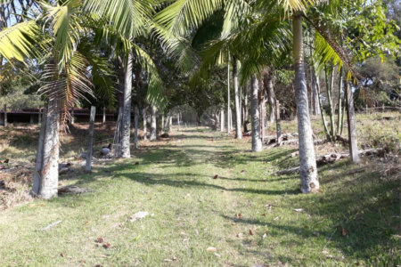 Sítio à venda com 3 quartos em Bairro do Cambará, São Roque, SP