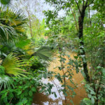 Chácara à venda com 3 quartos, sendo 1 suíte, em Jardim Buru, Salto, SP