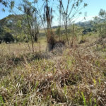 Sítio à venda com 3 quartos, sendo 1 suíte,  em Da Barra, Salto de Pirapora, SP