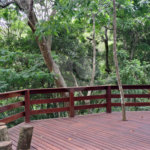 Casa à venda com 6 quartos, sendo 4 suítes, no condomínio Alpes da Cantareira, Mairiporã - SP