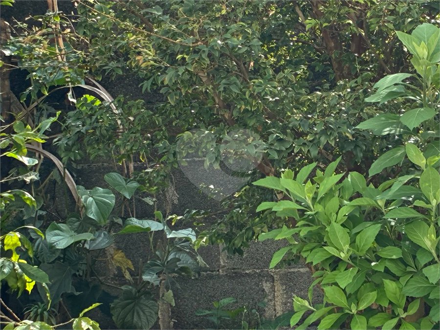 Terreno à venda em Vila Fiuza, Guarulhos, SP