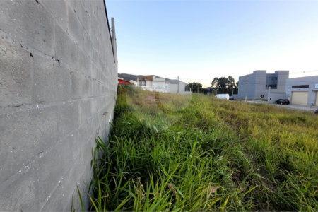 Terreno para alugar em Laranjeiras, Caieiras, SP