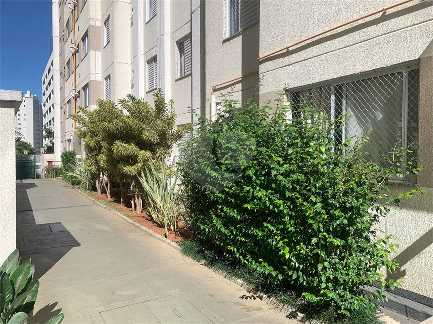 Apartamento à venda com 2 quartos em Pirituba, São Paulo, SP
