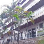 Apartamento à venda com 3 quartos, sendo 1 suíte, em Tijuca, Rio de Janeiro, RJ
