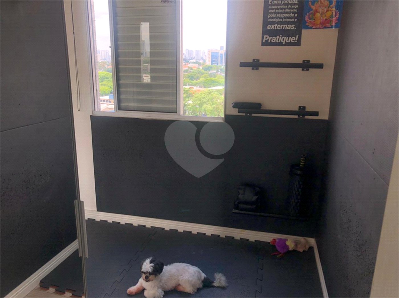 Apartamento à venda com 3 quartos, sendo 1 suíte,  em Parque Novo Mundo, São Paulo, SP
