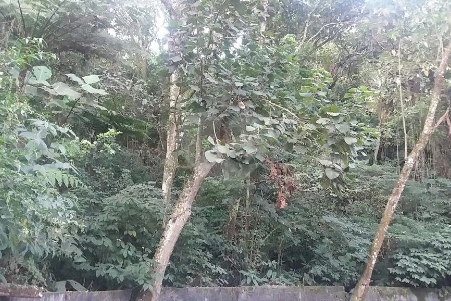 Terreno à venda em Tucuruvi, São Paulo, SP