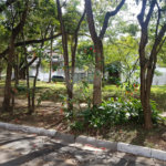 Sobrado à venda com 3 quartos, sendo 2 suítes, em Chácara Monte Alegre, São Paulo, SP