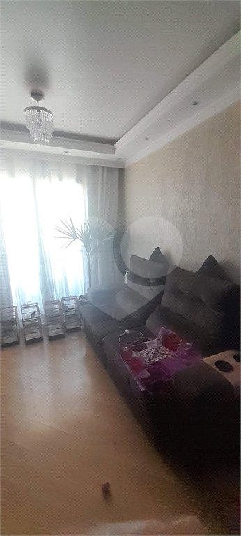 Apartamento à venda com 3 quartos em Vila Nova Cachoeirinha, São Paulo, SP