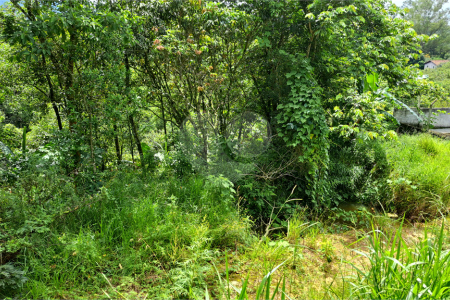 Terreno à venda em Rio Acima, Mairiporã, SP