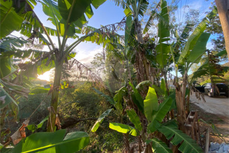 Terreno à venda em Albatroz, Armação dos Búzios, RJ