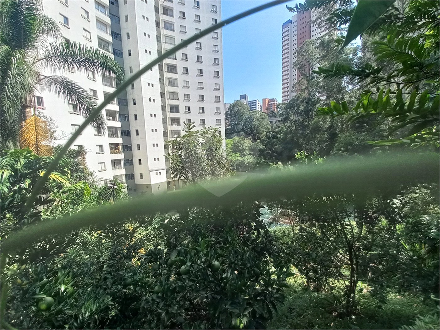 Apartamento à venda com 3 quartos, sendo 1 suíte, em Vila Andrade, São Paulo, SP