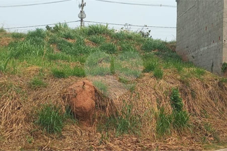 Terreno à venda em Residencial Capivari, Louveira, SP