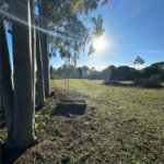 Terreno à venda em Sanga Puita, Ponta Porã, MS