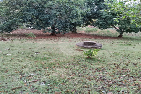 Terreno à venda em Chácara Fernão Dias, Bragança Paulista, SP