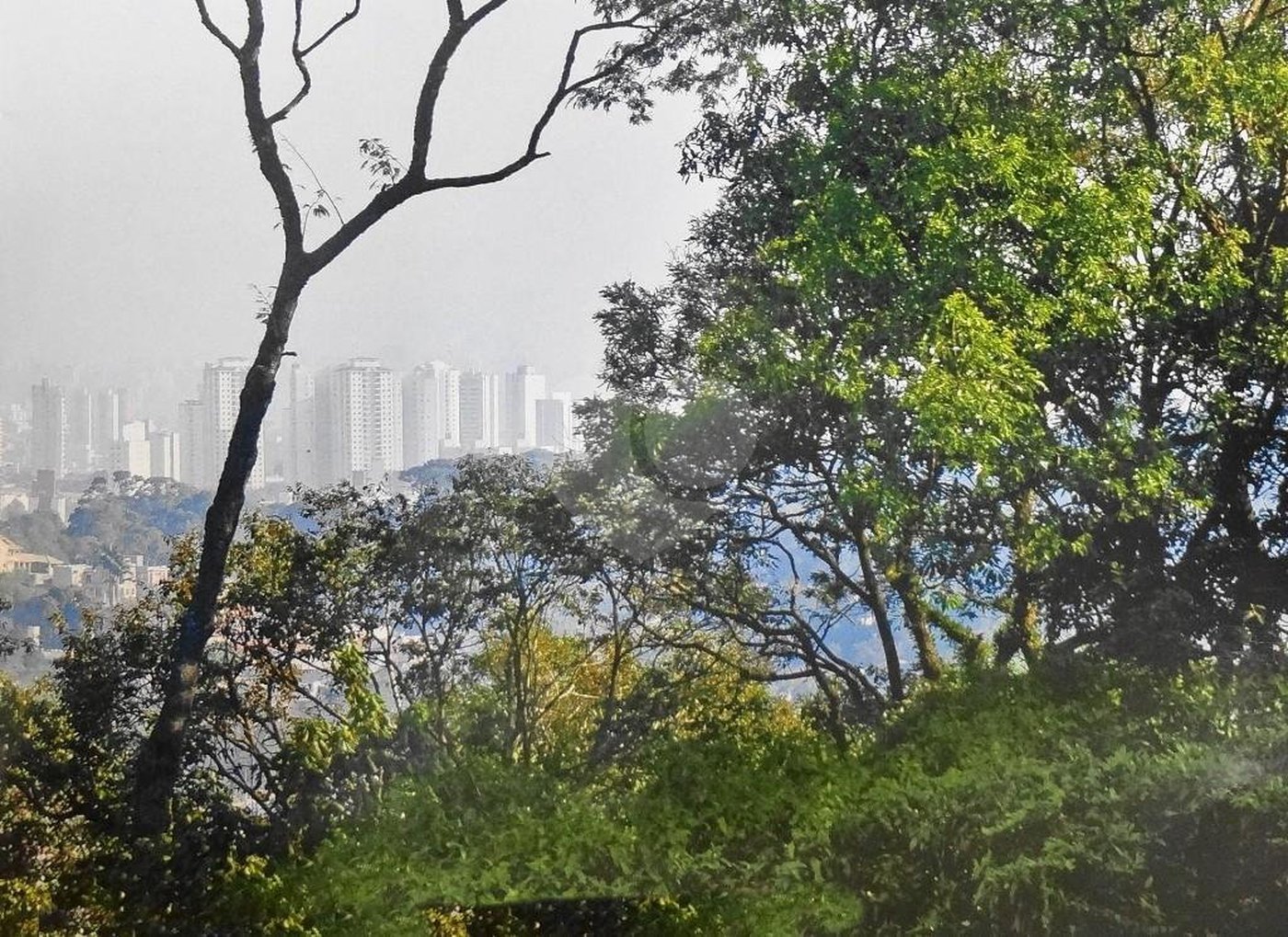 Terreno à venda em Vila Irmãos Arnoni, São Paulo, SP