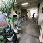 Casa à venda com 3 quartos, sendo 1 suíte, em Umarizal, São Paulo, SP