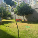 Studio para alugar com 1 suíte em Vila Clementino, São Paulo, SP