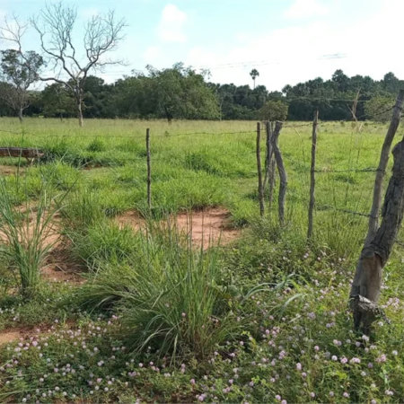 Fazenda à venda com 2 quartos no Centro, Estreito, MA