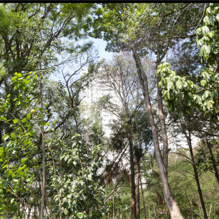 Apartamento à venda com 4 quartos, sendo 2 suítes,  em Lar São Paulo, São Paulo, SP