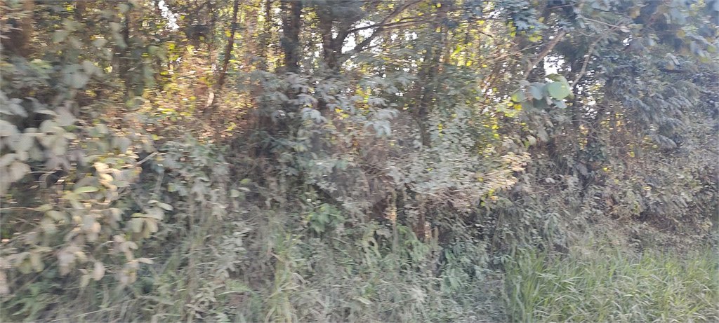 Terreno à venda em Luiz Fagundes, Mairiporã, SP